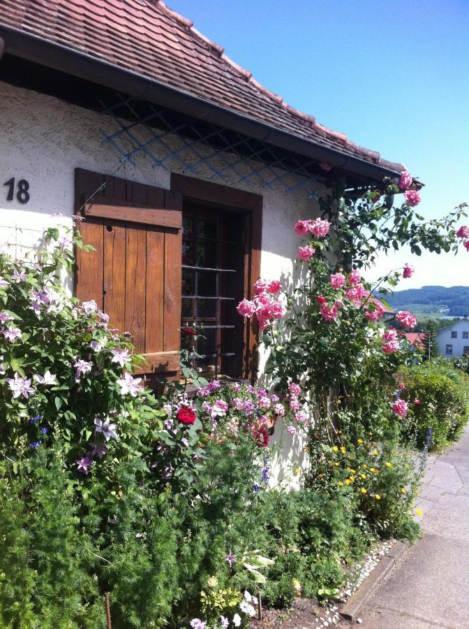 Micro-Apartment In Seenaehe Fusslaeufig Zum See:)) อูนิงเกน ภายนอก รูปภาพ